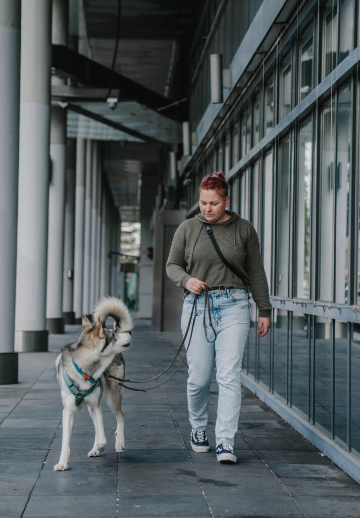 Wolfalike Genos und Nadine laufen durch die Stadt