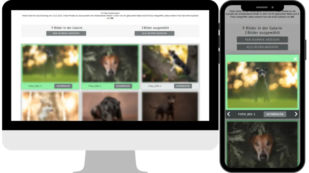 Auswahlgalerie auf Dogs in Sight