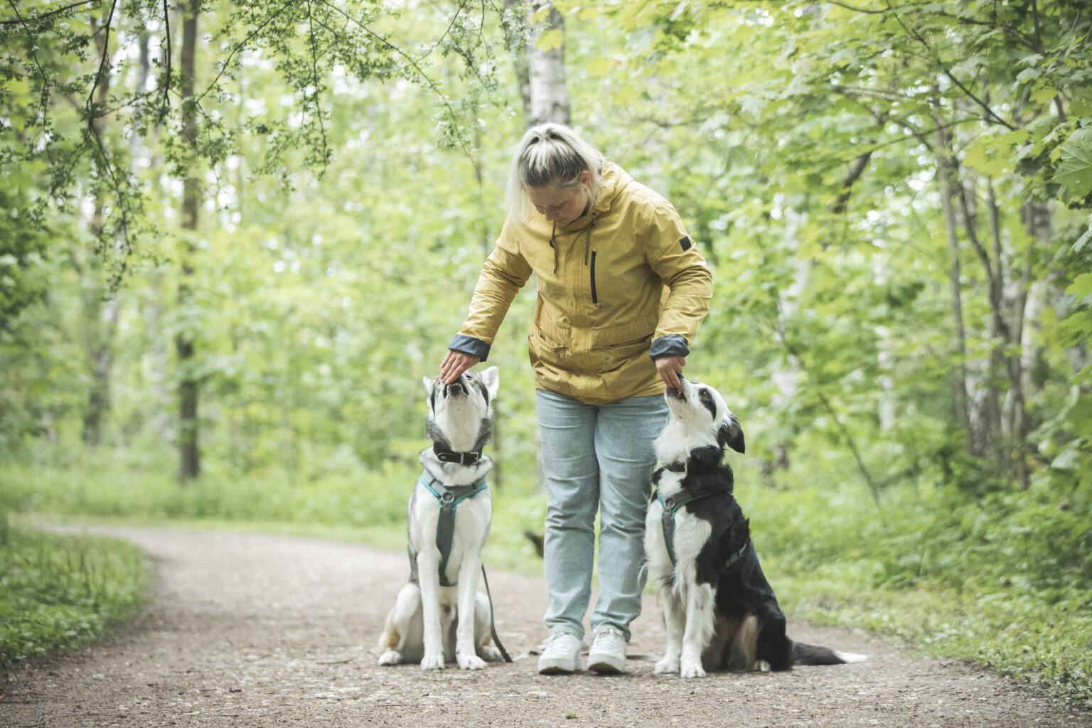 Genos Nadine und Ace im Wald, beide Hunde bekommen ein Leckerchen. Foto von Vroni Effner