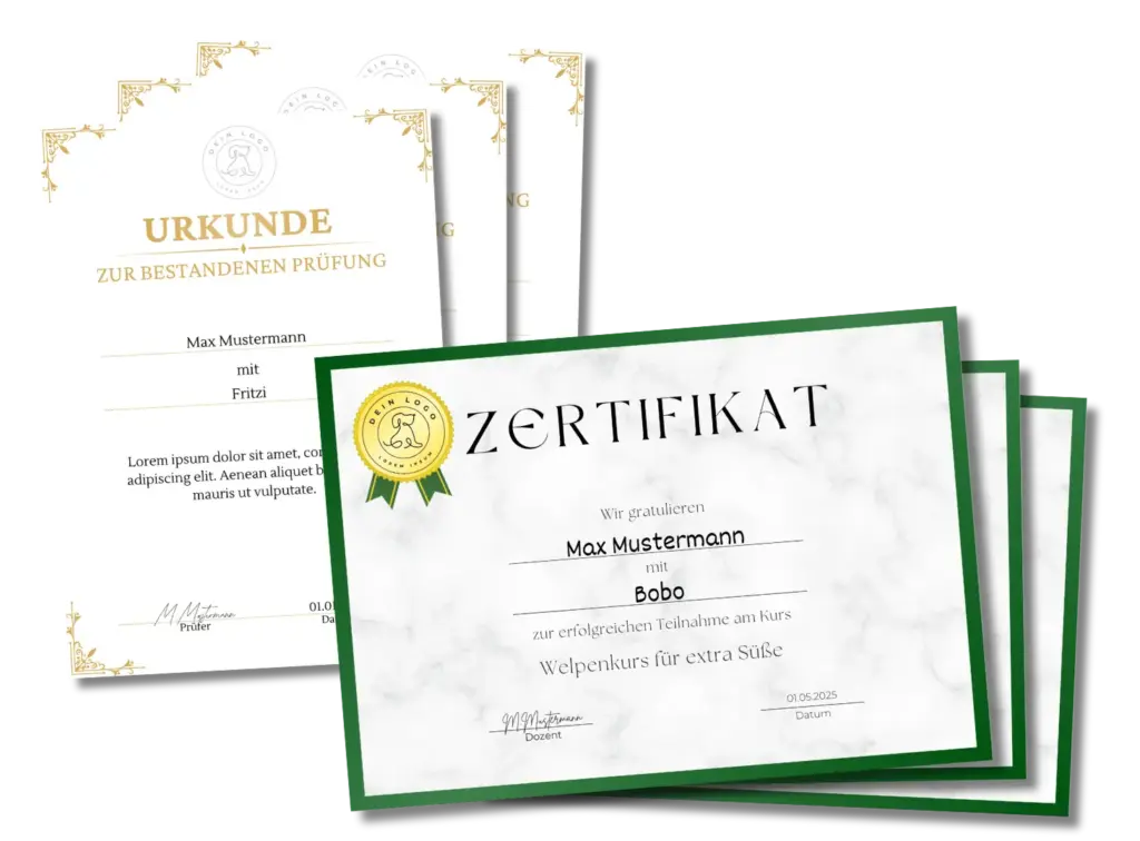 Canva ohne Chaos – Zertifikate und Urkunden erstellen Mini Kurs von Großstadtwolf Webdesign